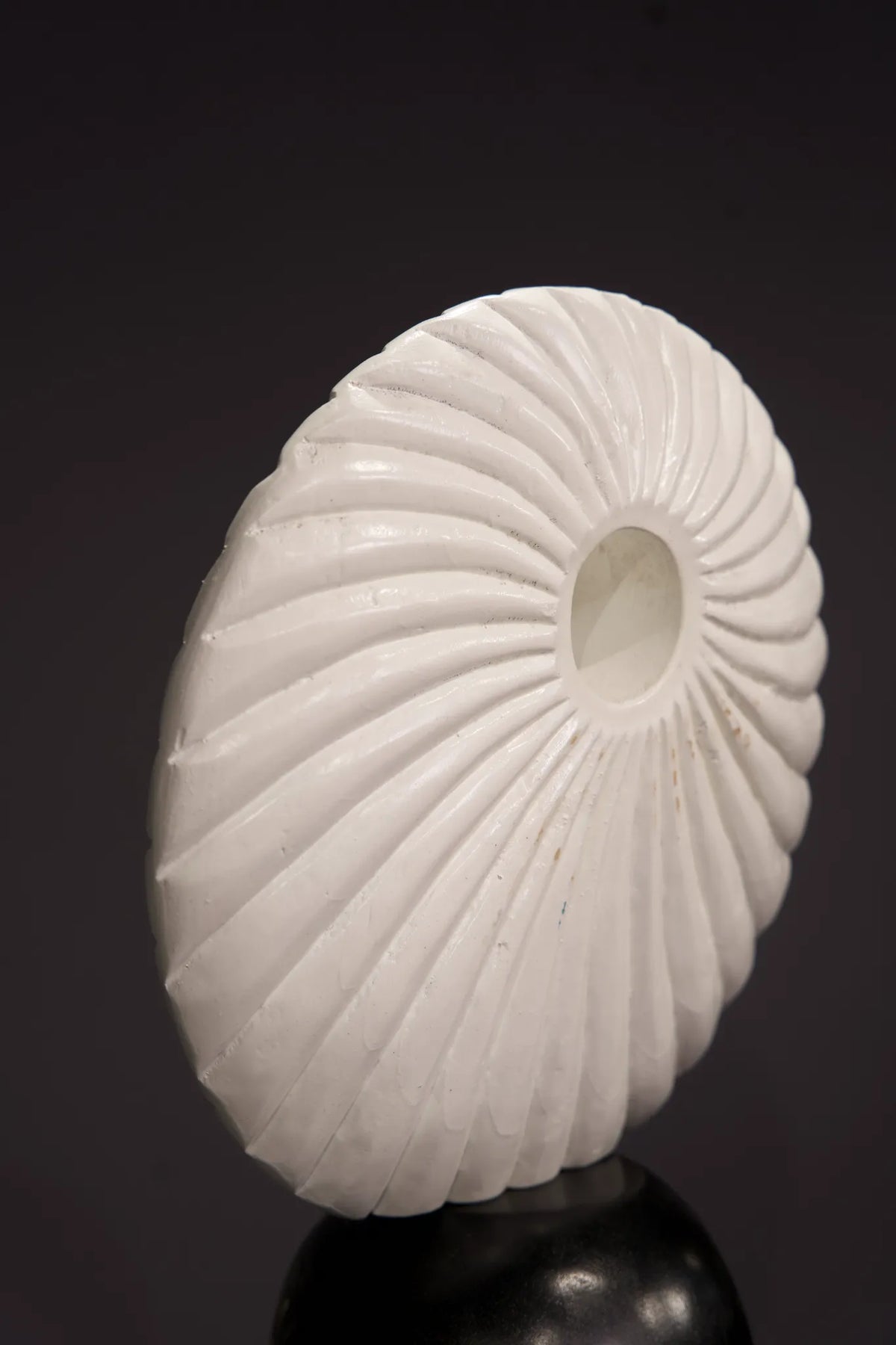 A white ribbed decorative shell-shaped object displayed on a black stand against a dark background.